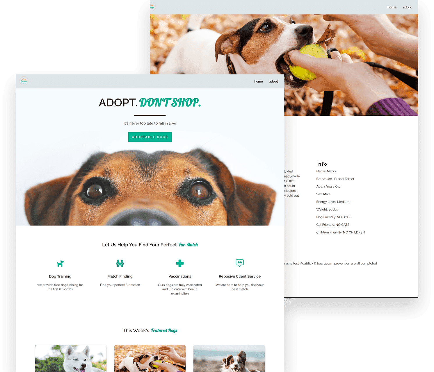 Adopt. Don't Shop